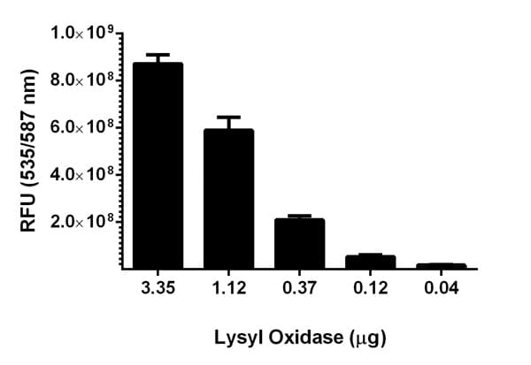 Lysyl Oxidase Activity Assay Kit (Fluorometric)(AB112139)