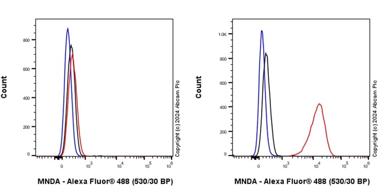 Anti-MNDA antibody [EPR28267-44] - BSA and Azide free(AB316968)