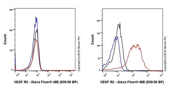 Anti-VEGF Receptor 2 antibody [EPR21884-236] - BSA and Azide free(AB234106)