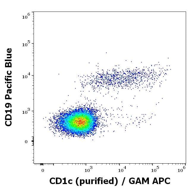 Anti-CD1c antibody [L161](AB190305)