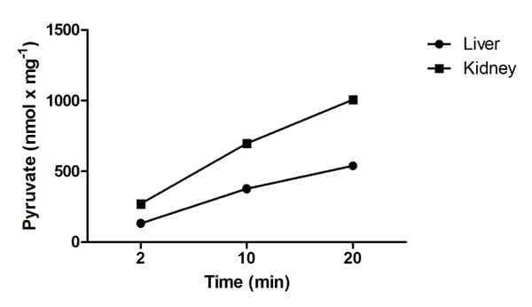 Pyruvate Kinase Assay Kit(ab83432)