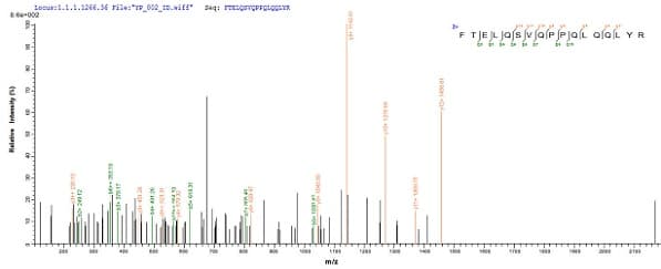 Recombinant Human PU.1/Spi1 protein (His tag)(ab236335)