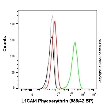 PE Rabbit IgG, monoclonal [EPR25A] - Isotype Control(AB209478)