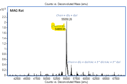 Recombinant Rat MAG Protein(AB288812)