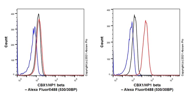 Anti-CBX1 / HP1 beta antibody [EPR24242-78](AB270988)