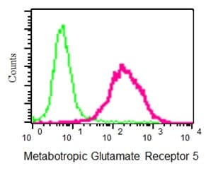 Anti-Metabotropic Glutamate Receptor 5 antibody [EPR2425Y] - BSA and Azide free(ab256589)