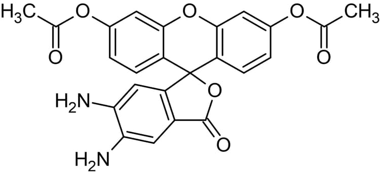 DAF-2 DA, Fluorescent nitric oxide probe(AB145283)