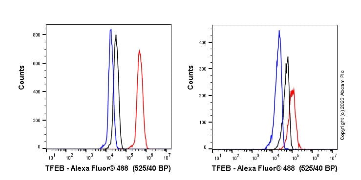 Anti-TFEB antibody [EPR22940-151](AB270604)