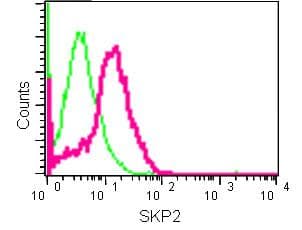 Skp2 Antibody Epr33052 Bsa And Azide Free Ab240263  Flow Cytometry Intracellular Img74983