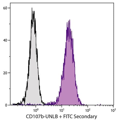Anti-LAMP2 antibody [H4B4] - Lysosome Marker(AB25631)