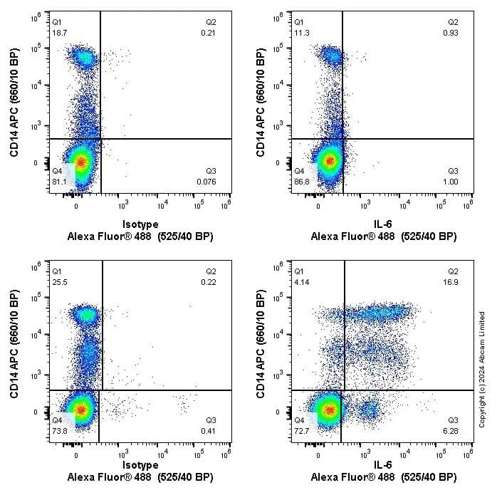 Il 6 Antibody Epr22565 204 Bsa And Azide Free Ab256355  Flow Cytometry Intracellular Img440953