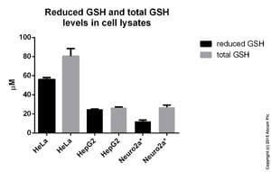 GSH/GSSG Ratio Detection Assay Kit II (Fluorometric - Green)(AB205811)