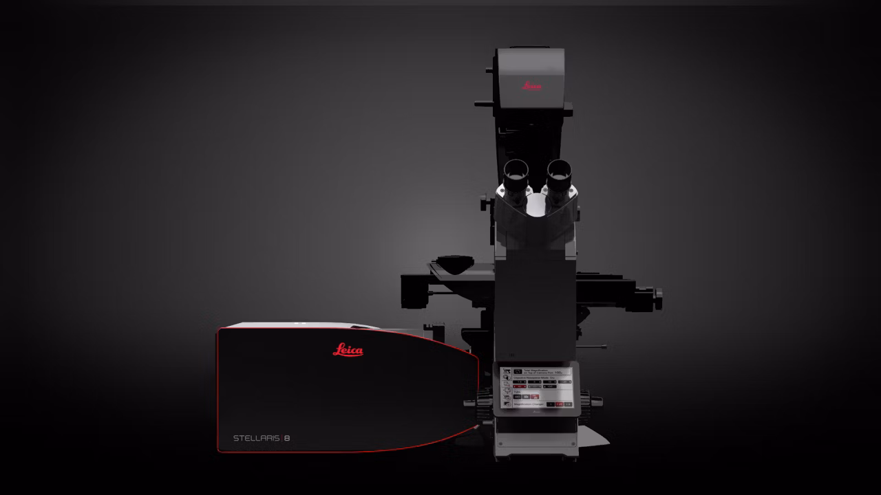Leica Microsystems Stellaris 8 Image2