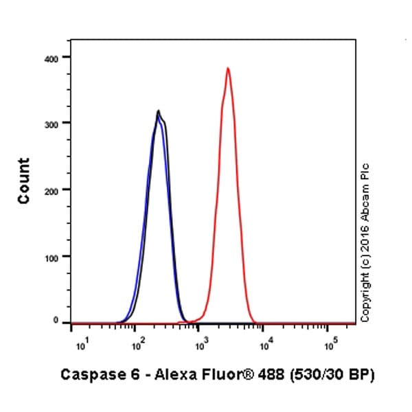 Alexa Fluor® 488 Anti-Caspase-6/CASP-6 antibody [EP1325Y](AB206237)