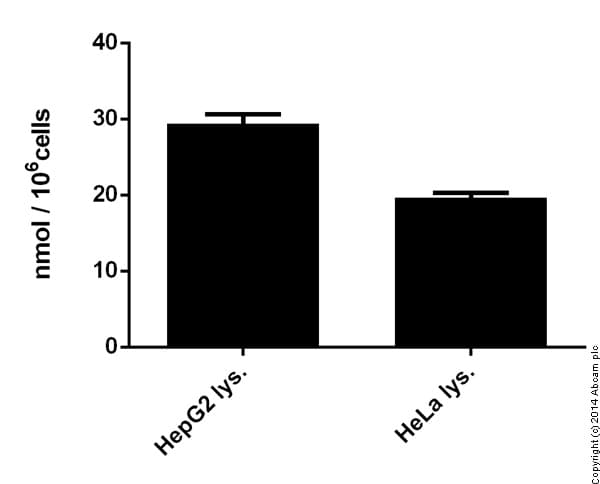 Creatine Assay Kit (Colorimetric/Fluorometric)(AB65339)