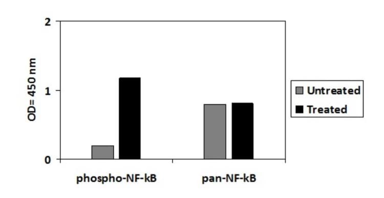 Phospho-NF-kB p65 (S536) and Total NF-kB p65 ELISA Kit(ab279874)