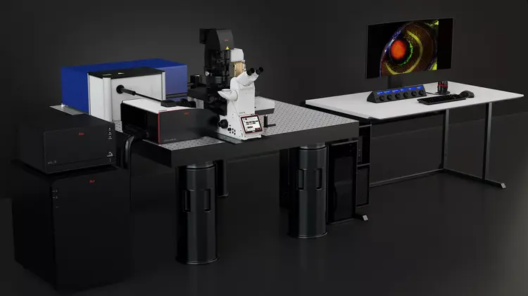 Leica Microsystems Stellaris 8 Crs Image1