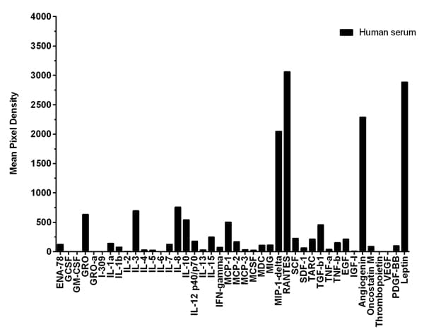 Cytokine Array - Human Cytokine Antibody Array (Membrane, 42 Targets)(AB133997)