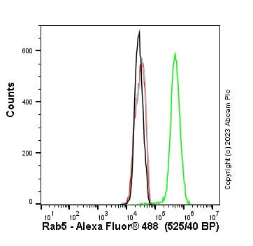 Anti-Rab5 antibody [EPR21801] - Early Endosome Marker(AB218624)