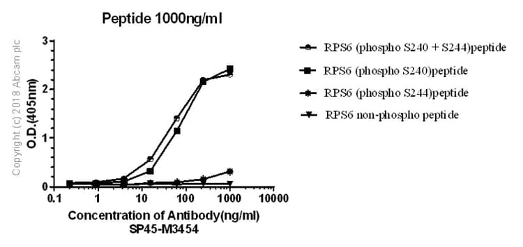 Rps6 Phospho S240 S244 Antibody Sp45 Ab81081  Elisa Img39008