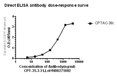 Anti-Thyroglobulin antibody [CPT-35.3-31](ab241326)