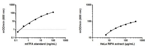 HeLa Whole Cell RIPA Extract(AB170197)