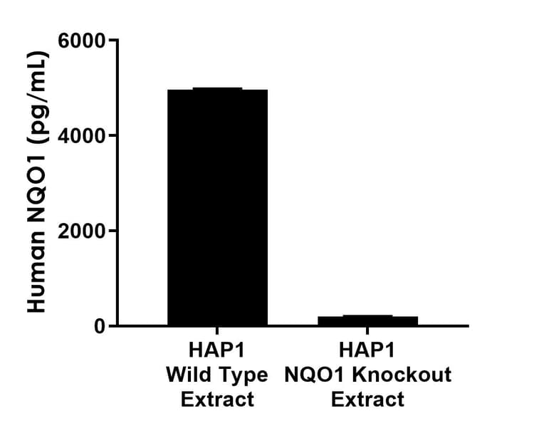 Human NQO1 Antibody Pair - BSA and Azide free(ab312884)