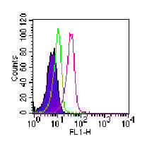 FITC Anti-ROR gamma antibody [4G419], prediluted(AB104906)