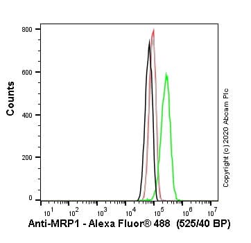 Anti-MRP1 antibody [EPR22841-78](AB260038)