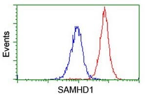 Samhd1 Antibody Oti1a1 Ab128107  Flow Cytometry Intracellular Img67417