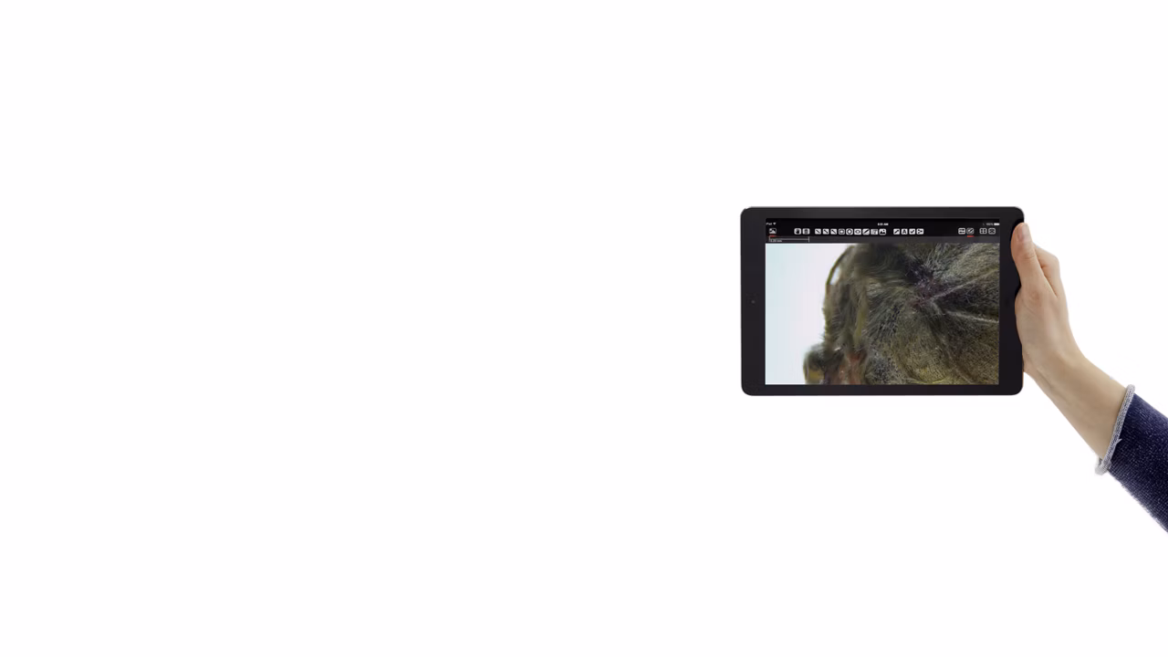 Leica EZ4 W 10000 Wi Fi Moth Bg 01 Kid21765939