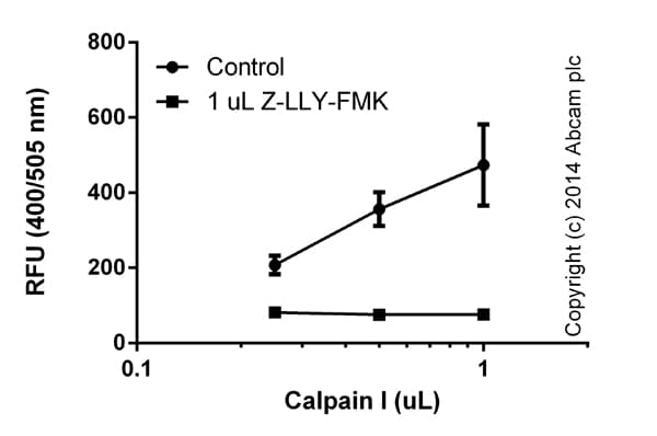 Calpain Activity Assay Kit(ab65308)