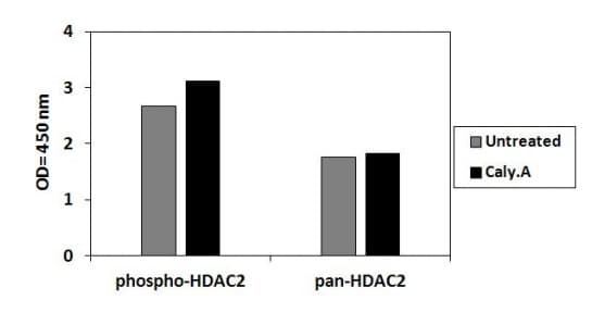 Phospho Hdac2 S394 Elisa Kit Ab279818  Sandwich Elisa Img85596