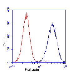 Anti-Frataxin antibody [18A5DB1](AB110328)