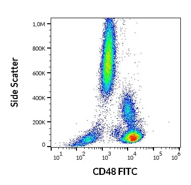 Fitc Cd48 Antibody Mem 102 Ab21885  Flow Cytometry Img29662
