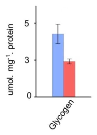 Glycogen Assay Kit II (Colorimetric)(AB169558)