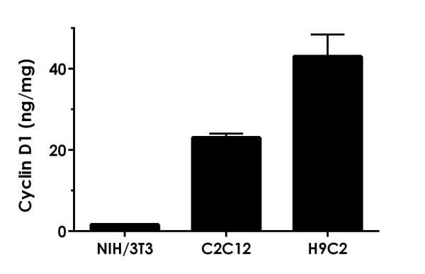 Human Cyclin D1 Elisa Kit Ab214571  Sandwich Elisa Img51731