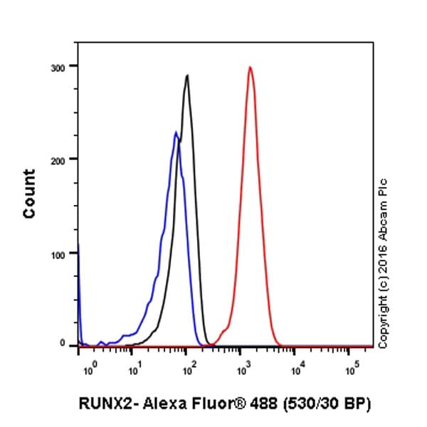 Anti-RUNX2 antibody [EPR14334](AB192256)