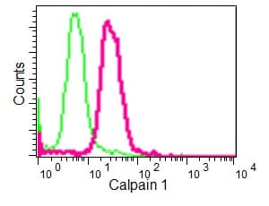 Calpain 1 Antibody Epr3319 Ab108400  Flow Cytometry Intracellular Img18953