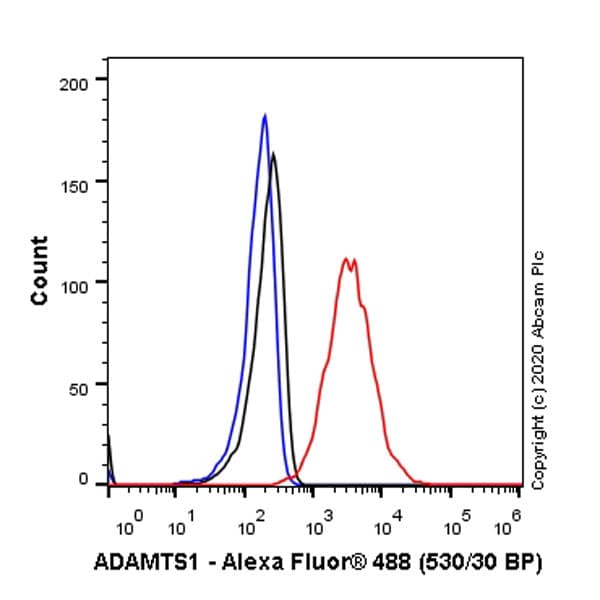 Anti-ADAMTS1 antibody [EPR23324-45](AB276133)