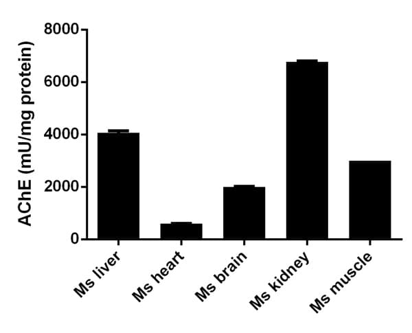 Acetylcholinesterase Assay Kit (Colorimetric)(AB138871)