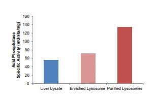 Lysosome Isolation Kit(AB234047)