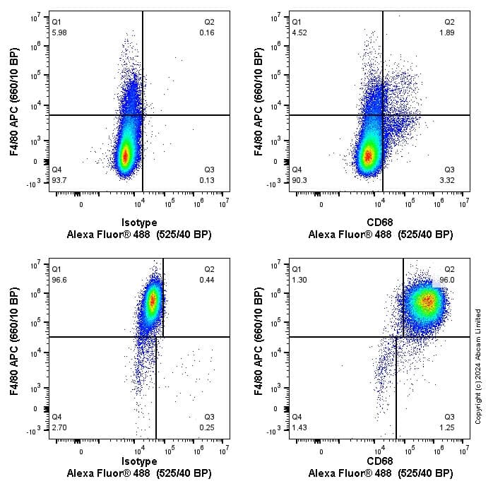 Anti-CD68 antibody [EPR23917-164](AB283654)
