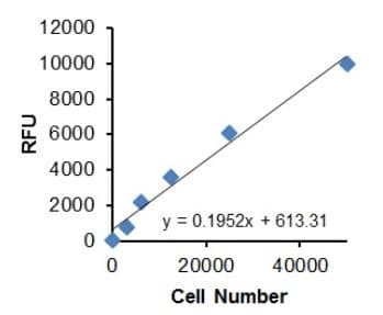Cell Migration/Chemotaxis Assay Kit (24-well, 5 µm)(AB235696)