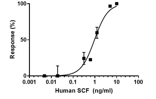Recombinant human SCF protein (Active)(AB259391)