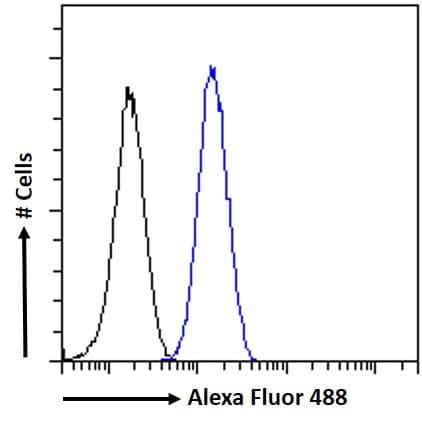 Foxg1 Antibody Ab3394  Flow Cytometry Img424129