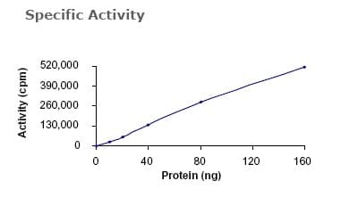 Recombinant human CDK1 + Cyclin A2 protein(ab64299)