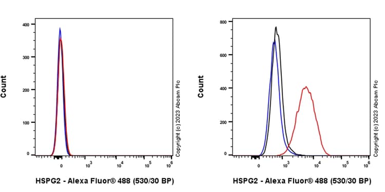Anti-Heparan Sulfate Proteoglycan 2/Perlecan antibody [EPR28345-62] - BSA and Azide free(AB315241)