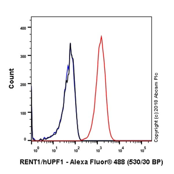 Anti-RENT1/hUPF1 antibody [EPR4681](AB109363)
