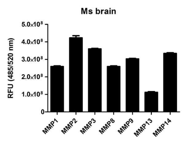MMP Activity Assay Kit (Fluorometric - Green)(AB112146)